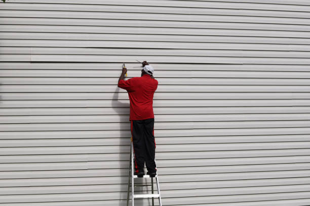 Affordable Siding Repair and Maintenance Services in La Paloma, TX